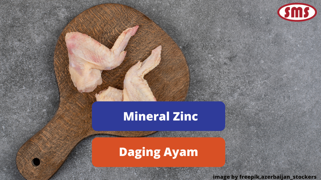 Pentingnya Konsumsi Zinc Dalam Daging Ayam Bagi Kesehatan